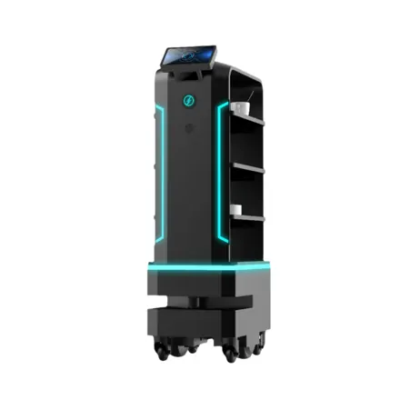 Doručovací robot - Flash