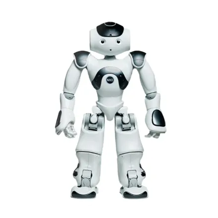 Humanoidný servisný robot - Nao.