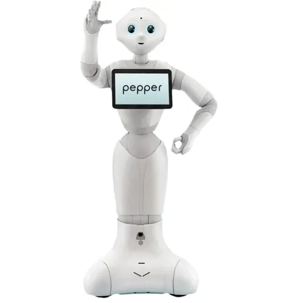 Humanoidný servisný robot - Pepper
