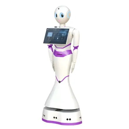 Humanoidný servisný robot - Reeman