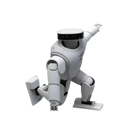 Humanoidný servisný robot - Roban