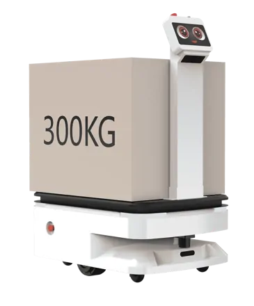 REEMAN 300KG Payload AGV AMR