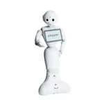 Humanoidný servisný robot - Pepper Humanoidný servisný robot - Pepper