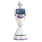 Vzdelávací robot - Reeman Vzdelávací robot - Reeman